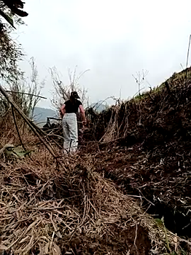 hangnga89 online show from 12, 3, 2026