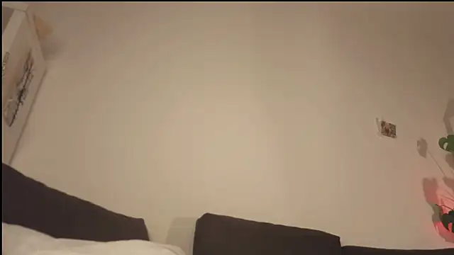 poli blink online show from 22, 4, 2026