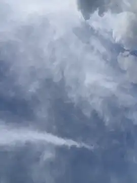 Ema Rose  online show from 18, 4, 2026