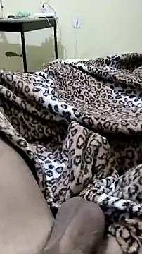 Novinhoie online show from 21, 4, 2026