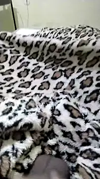 Novinhoie online show from 28, 4, 2026