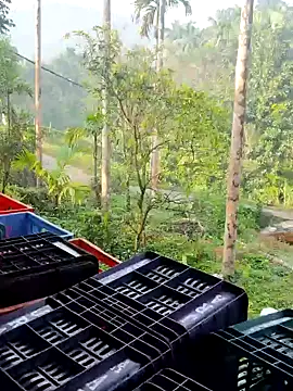 Snapshot of ancyauhuss chatting on 22, 12, 2025 ancyauhuss online show from 22, 12, 2025