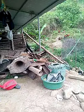 congchua977 online show from 17, 4, 2026