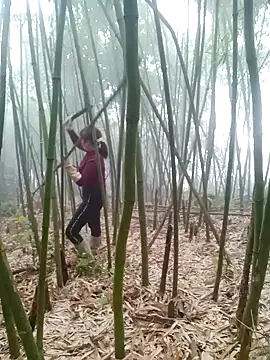 yeutinh00 online show from 11, 3, 2026