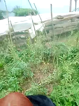 yeutinh00 online show from 13, 3, 2026