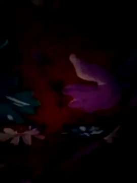 Snapshot of ramya_sri chatting on 21, 2, 2026 ramya sri online show from 21, 2, 2026