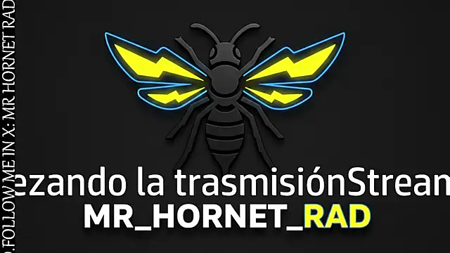s hornet online show from 23, 4, 2026