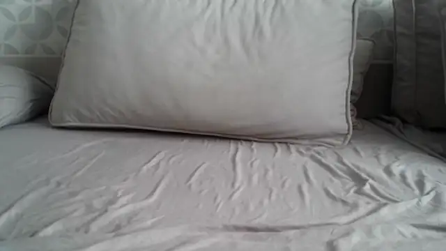 apollo81 online show from 18, 2, 2026