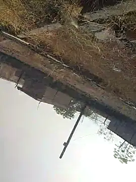 sexyboy 917 online show from 22, 4, 2026