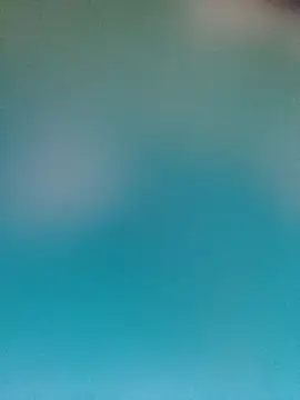 donaaa2 online show from 18, 4, 2026