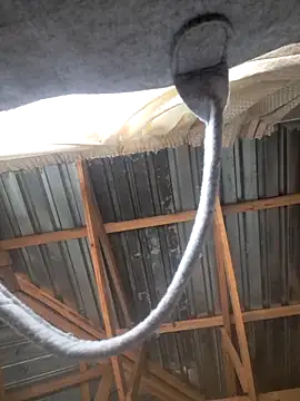 Sihle Plays online show from 7, 3, 2026