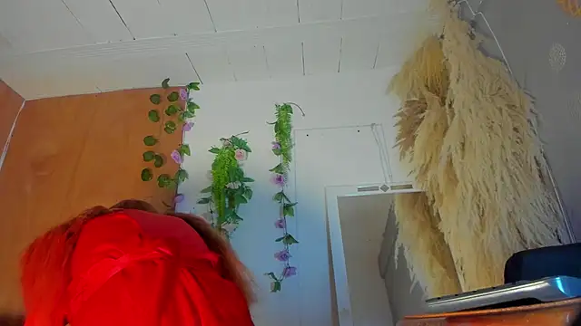 Alice randyy online show from 9, 2, 2026