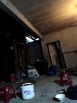 vesla-2k online show from 20, 4, 2026