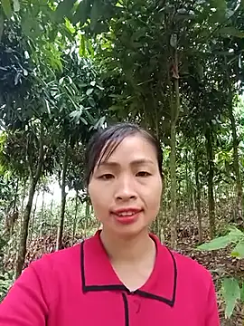 xiaogoal online show from 11, 6, 2026