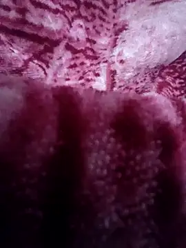 Pagelboy 089 online show from 11, 2, 2026