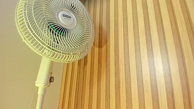 emily velvet   online show from 20, 4, 2026