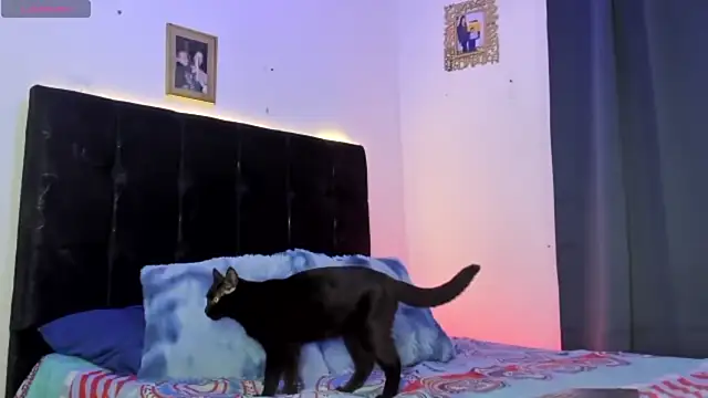 HotboyLyan online show from 24, 4, 2026