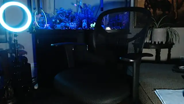 EspanolVato online show from 21, 2, 2026