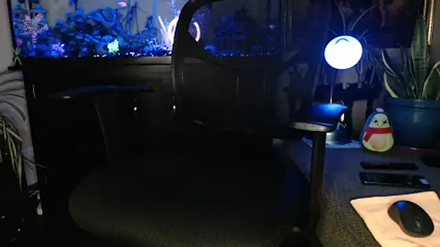 EspanolVato online show from 30, 3, 2026