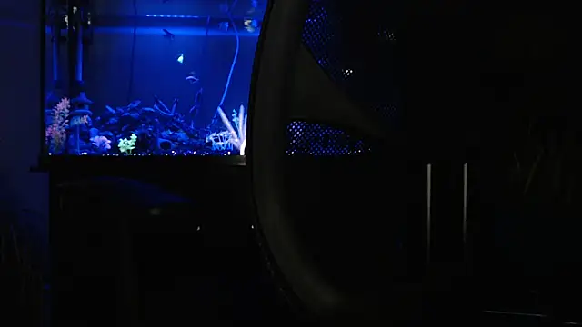 EspanolVato online show from 18, 4, 2026