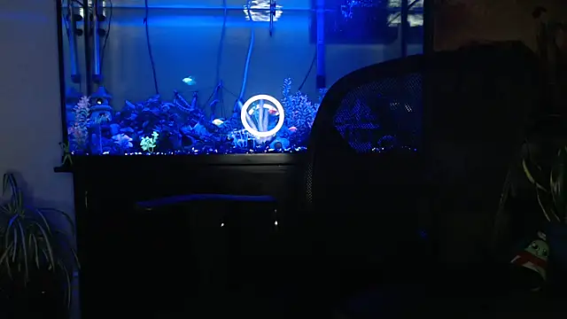 EspanolVato online show from 22, 4, 2026