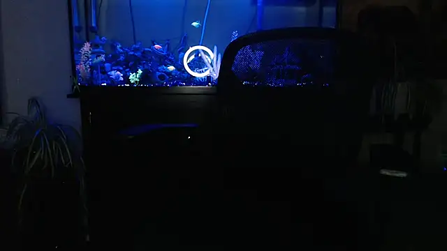 EspanolVato online show from 23, 4, 2026