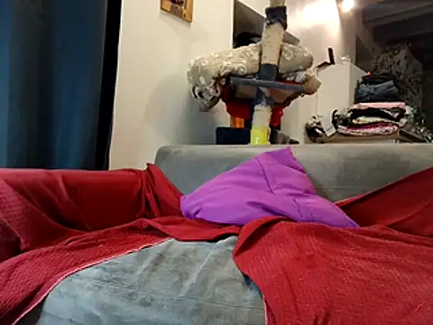 Snapshot of chrisopen07 chatting on 5, 2, 2026 chrisopen07 online show from 5, 2, 2026