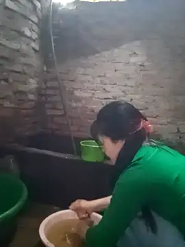 him220 online show from 21, 3, 2026