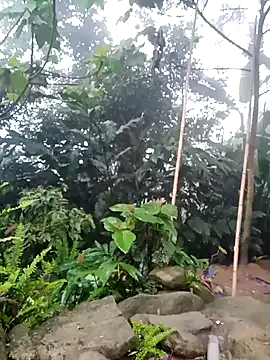 him220 online show from 26, 4, 2026