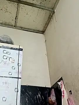 Sana-vn online show from 27, 2, 2026