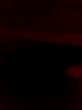 Ljijli online show from 28, 2, 2026
