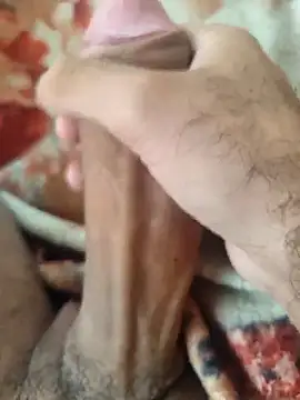 Alagoano12 online show from 3, 3, 2026