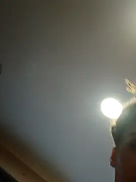 Snapshot of dear2002 chatting on 17, 1, 2026 dear2002 online show from 17, 1, 2026