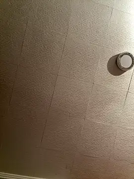 Snapshot of Evelin199 chatting on 8, 2, 2026 Evelin199 online show from 8, 2, 2026