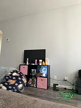 jojosbizarrelyf online show from 20, 2, 2026