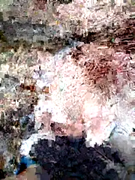 Snapshot of ParejaSutra69 chatting on 8, 1, 2026 ParejaSutra69 online show from 8, 1, 2026