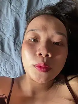 An-An19 online show from 8, 3, 2026