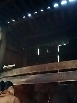 miray- online show from 13, 3, 2026