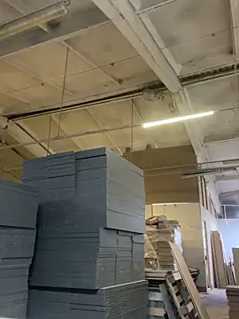 Dildogang online show from 4, 3, 2026