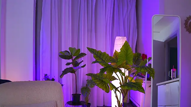 Arabian Rose online show from 29, 7, 2026