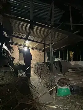 Ginny 2x online show from 2, 2, 2026