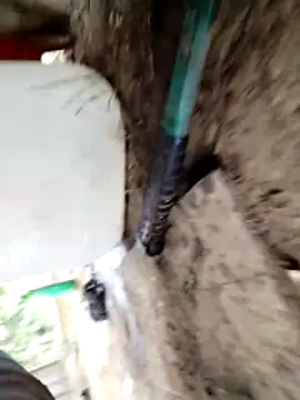 Ginny 2x online show from 28, 4, 2026