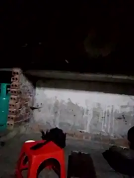 cdyyds-69 online show from 2, 2, 2026