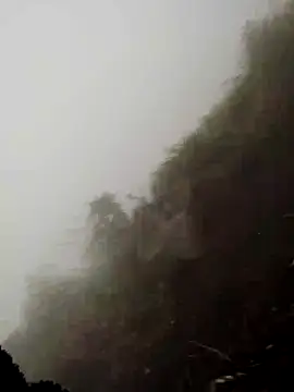 cdyyds-69 online show from 11, 3, 2026