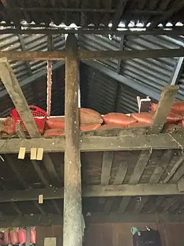 Naalyy online show from 26, 3, 2026