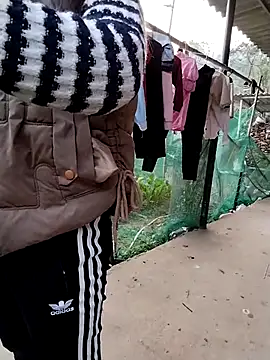 waaini99 online show from 13, 1, 2026