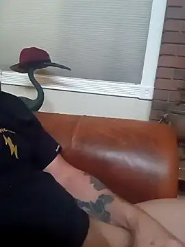 biswingcruiser online show from 7, 3, 2026