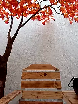 Dante Knox online show from 15, 2, 2026