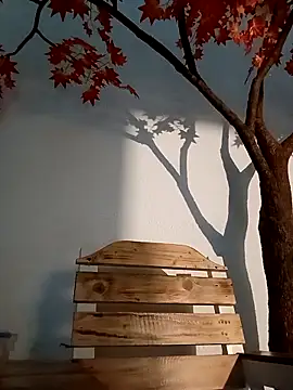 Dante Knox online show from 26, 3, 2026