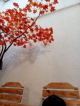 Dante Knox online show from 5, 4, 2026